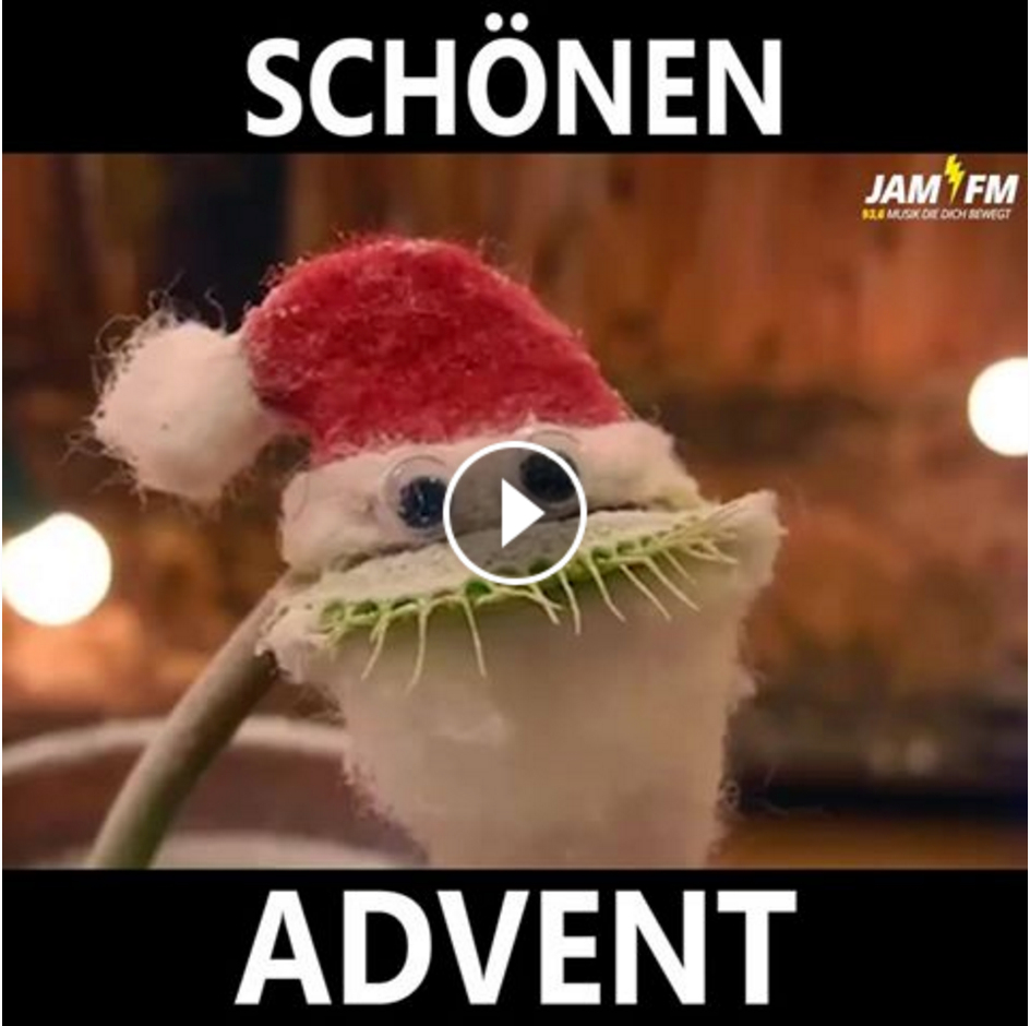 kerstwens urlaub creatieve workshops en cursussen in utrecht